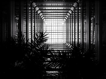 Architecture, Dark, Branches, Construction, Bw, Chb HD wallpaper