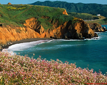 California, landscape, nature, calm, beach HD wallpaper