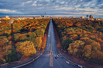 Berlin Houses Roads Trees, road, trees, graphy, autumn HD wallpaper