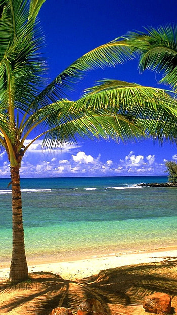 Caribbean Islands, Beach view, Nature , Beach scenery HD phone wallpaper