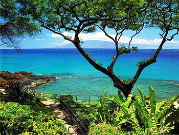 An Island, blue, island, grren, ocean, tree HD wallpaper