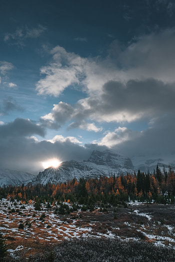 Landscape, Nature, Trees, Mountains, Sun, Clouds, View From Above HD phone wallpaper