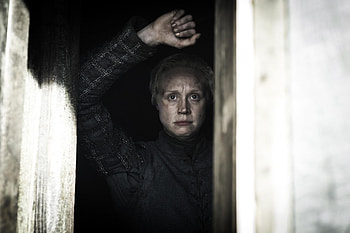 Brienne of Tarth, Sansa Stark, Thoughtful portrayal, Intriguing dynamic HD wallpaper