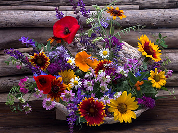 Lovely Bouquet, still life, colors, bouquet, flowers HD wallpaper