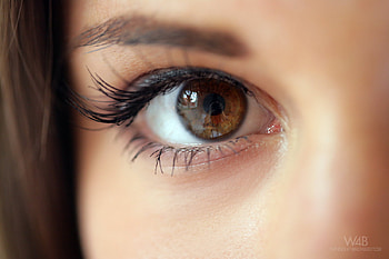Eye Level, eyes, hazel eyes, girls, eye HD wallpaper
