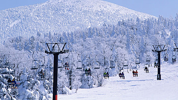 ski in chepelare, sky, snow, tree, ice HD wallpaper