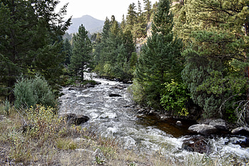 Landscape, Nature, Rivers, Trees HD wallpaper