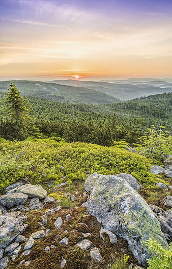 Breathtaking view of a sunrise casting golden hues over a lush green mountain valley with rocky foreground. HD phone wallpaper
