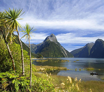 Nature's Beauty, blue sky, palm, trees, nature, mountains, beauty HD wallpaper