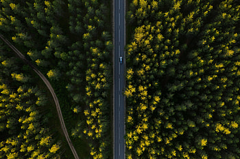 Nature, Trees, View From Above, Road, Car, Machine HD wallpaper
