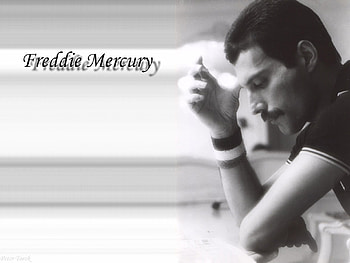 freddie mercury 5, freddie, music, queen HD wallpaper