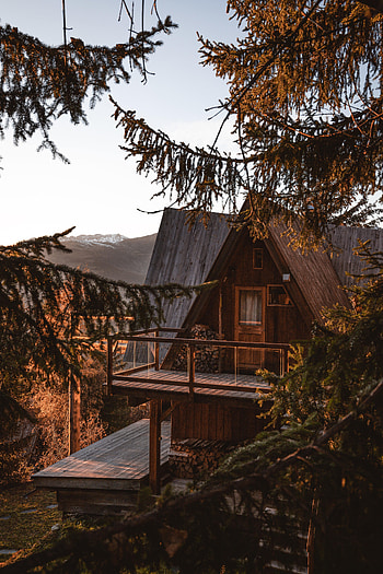 Nature, Trees, Branches, House, Coziness, Comfort HD phone wallpaper