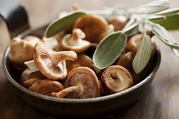 Shiitake mushroom preservation, Drying techniques, Step-by-step guide, Long-lasting nourishment HD wallpaper
