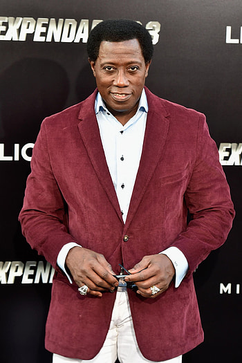 Wesley Snipes, Starportrt, News, Bilder HD phone wallpaper