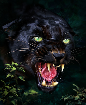 Art, Jaguar, Grin, Predator, Fangs HD phone wallpaper