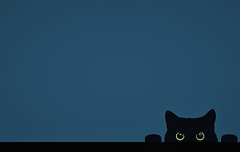 Black Cat Minimalist HD wallpaper