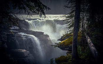 Athabasca Falls, Jasper National Park, Alberta, trees, river, canada, rocks HD wallpaper