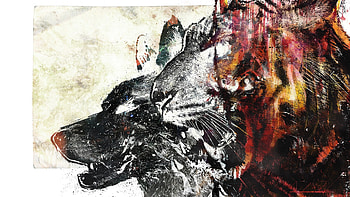 Preview wolf, tiger, drawing, white, red HD wallpaper