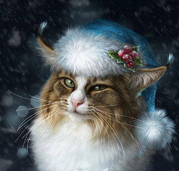 Christmas cat, blue, winter, alenaekaterinburg, berry, iarna, hat, new year, white, frumusete, mistletoe, craciun, elena roslyakova, cat, pisici, fantasy, red, christmas, luminos HD wallpaper