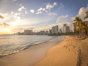 Experience the serene beauty of Honolulu's beach at sunset, featuring the city's stunning skyline. HD wallpaper
