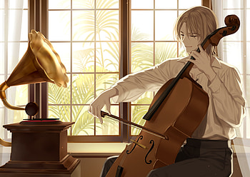 Cello , Backgrounds, Classical instrument, Music lover's dream HD wallpaper