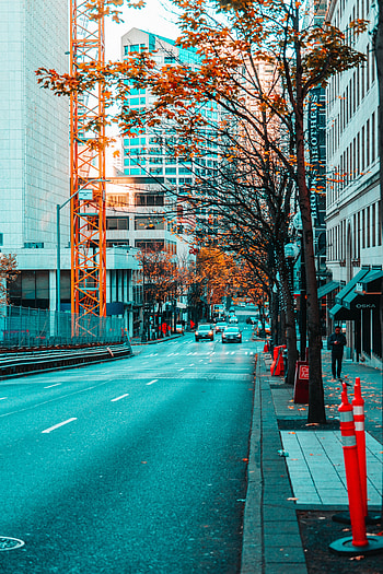 Cities, City, Building, Road, Movement, Traffic, Asphalt, Street HD phone wallpaper