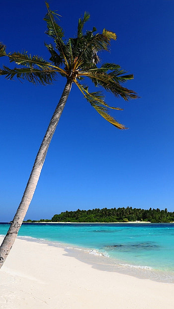Beautiful nature beach, Idyllic coastline, Nature's paradise, Sandy shores HD phone wallpaper