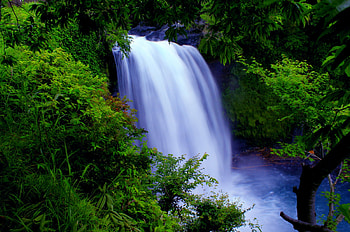 FOREST WATERFALLS, waterfalls, nature, forest, green HD wallpaper