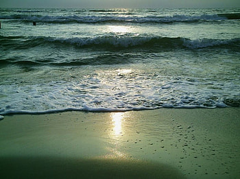 Nature beach, sunset, beach HD wallpaper