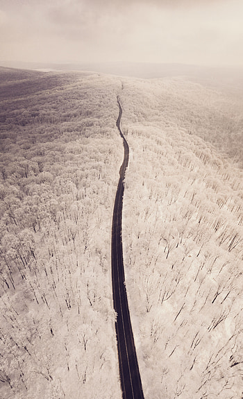Winter, Nature, Trees, Snow, View From Above, Road, Forest HD phone wallpaper
