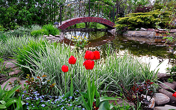 Plants, Landscape HD wallpaper