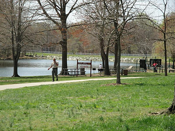somebody in the park, trees, grass, lake, path HD wallpaper