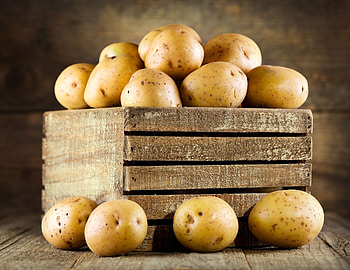 Potato backgrounds, Beautiful , options, Variety of styles HD wallpaper