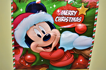 Merry Christmas, be kind to animals, fun, joy to the world, kindness matters, tis the season, celebration, holiday, family, Christmas, festive, ho ho ho, peace on Earth HD wallpaper