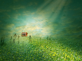 House In A Meadow, sunlight, fantasy, house, meadow, flowers HD wallpaper