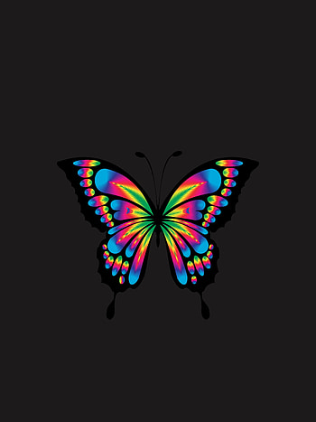 Shine, Bright, Multicolored, Motley, Minimalism, Brilliance, Butterfly, Prismatic, Chromatic HD phone wallpaper