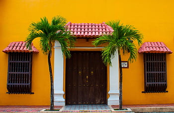 A colorful Colombian house facade with palm trees and a wooden door. HD wallpaper