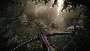 Kingdom Come: Deliverance II - Nature's Realm, video game, Kingdom Come: Deliverance II HD wallpaper