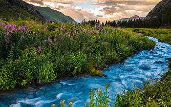 Sun-soaked rivers, Summer flows, Nature's waterways, Scenic views HD wallpaper