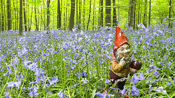 Gnome background , Popular gnome backgrounds, Enchanting garden dcor, Magical creatures HD wallpaper