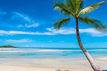 Tropical summer, Beach, Paradise, Sea, Tree HD wallpaper