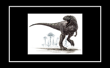Giganotosaurus carolinii, animal, great, black, awesome, beneteau, tyrannosaurus rex, , dinosaurs, nice, animals, amazing, giganotosaurus, dinosaur, other, t-rex, tyrannosaurus, prehistoric, drawing, prehistory, cool, paleontology, reptiles, tyrannosaur, reptile HD wallpaper