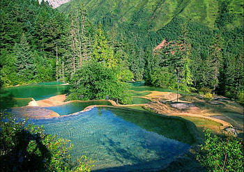 Wudalianchi National Forest, nature, china, water, forest HD wallpaper