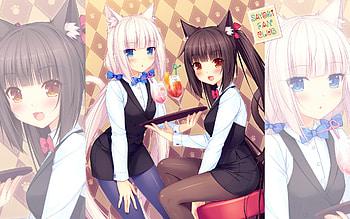 Anime - Nekopara Chocola (Nekopara) Vanilla (Nekopara) HD wallpaper