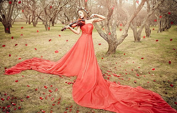 Beauty, lady, model, graphy HD wallpaper
