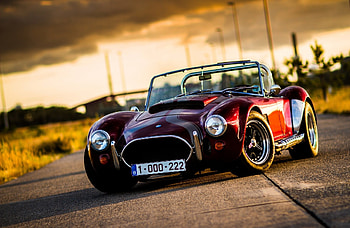 Auto, Cars, Shine, Light, Car, Machine, Shelby HD wallpaper