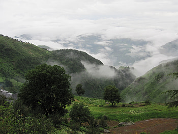 my birth place, himachal , the clouds, best , sarachi , trees, golden nature, mountains, chestnut tree, mandi , forests, snow velly, clouds on mountains, velly, fields, nature, god velly, natural HD wallpaper