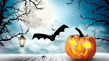 Halloween, full moon, fall, spiders, jack-o-lantern, Firefox theme, autumn, trees, pumpkin, lantern, bats HD wallpaper