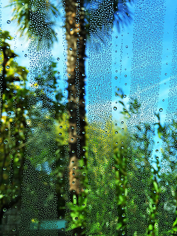 Drops, Macro, Blur, Smooth, Palm, Glass HD phone wallpaper