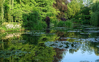 Nature, Water Lilies, Plant, Vegetation, Pond, Factory HD wallpaper